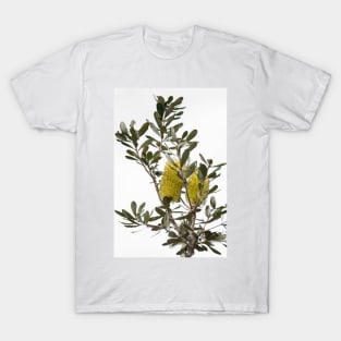 Banksia SYD02 T-Shirt